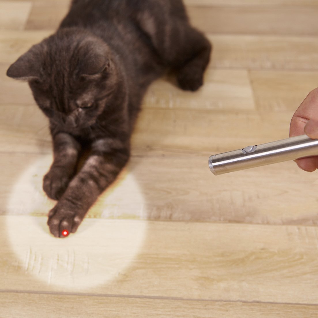 2 in 1 Red Laser Point Cat Toy Pen